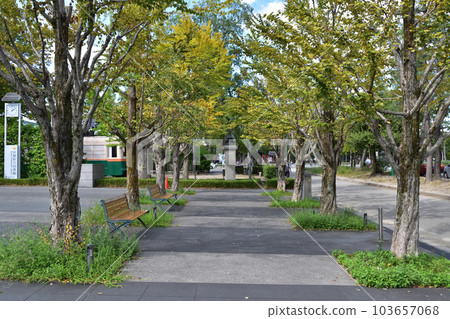 Bench in front of Kyoto Prefectural Library 103657068