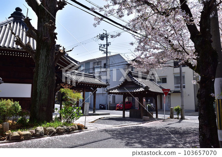 Tokurin-an（Yamashina Jizo）和舊東海道上的櫻花，京都 103657070