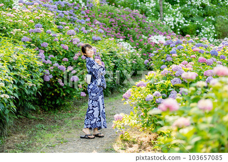 Beautiful Japanese women 103657085