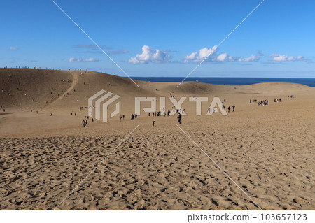 Autumn Tottori Sand Dunes Bustling with Tourists (Tottori Prefecture) 103657123