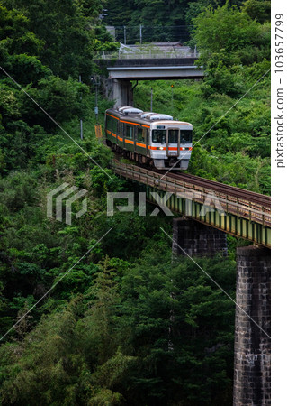 [Kisei Main Line] A local train crossing the Miseya Bridge in the evening sun 103657799