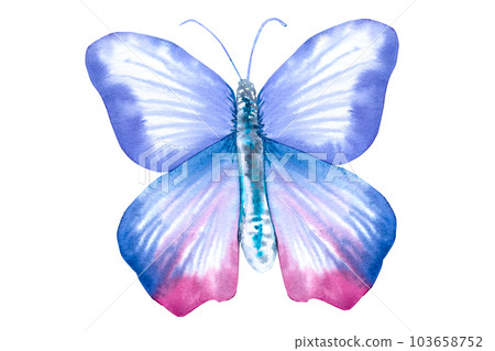 Butterfly watercolor illustration. Cute butterfly for postcards, covers, invitations Butterfly watercolor illustration. Cute butterfly for postcards, covers, invitations 103658752