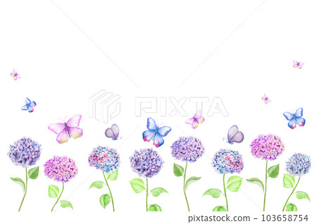 Watercolor drawing of a beautiful bouquet of hydrangeas and butterflies. Hand drawn hydrangea botanical illustration. Watercolor drawing of a beautiful bouquet of hydrangeas and butterflies. Hand drawn hydrangea botanical illustration. 103658754