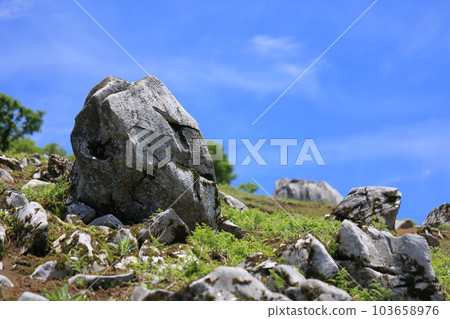 Shinsenyama Shinsenyama 103658976