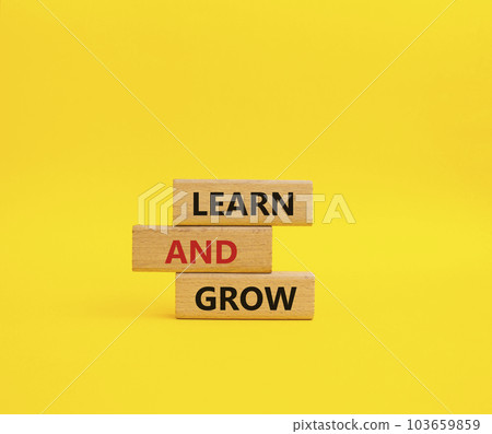 Learn and grow symbol. Concept words Learn and grow on wooden blocks. Beautiful yellow background. Business and Learn and grow concept. Copy space. Learn and grow symbol. Concept words Learn and grow on wooden blocks. Beautiful yellow background. Business and Learn and grow concept. Copy space. 103659859