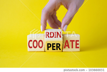 Cooperate and Coordinate symbol. Businessman hand turns wooden cubes and changes the word Cooperate to Coordinate. Beautiful yellow background. Business concept. Copy space Cooperate and Coordinate symbol. Businessman hand turns wooden cubes and changes the word Cooperate to Coordinate. Beautiful yellow background. Business concept. Copy space 103660031