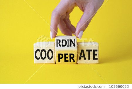 Cooperate and Coordinate symbol. Businessman hand turns wooden cubes and changes the word Cooperate to Coordinate. Beautiful yellow background. Business concept. Copy space Cooperate and Coordinate symbol. Businessman hand turns wooden cubes and changes the word Cooperate to Coordinate. Beautiful yellow background. Business concept. Copy space 103660033