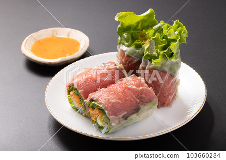 Roast beef raw spring roll 103660284