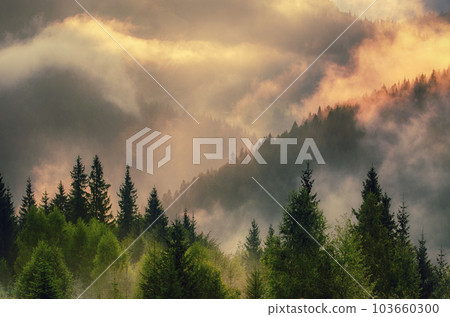 Misty mountain landscape 103660300