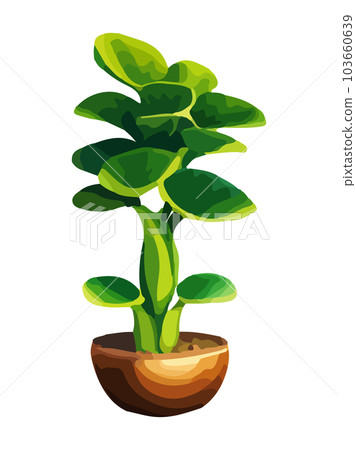 Realistic house plat with monstera sansevieria banana palm ficus and rhopalostylis in pot on transparent background. 103660639