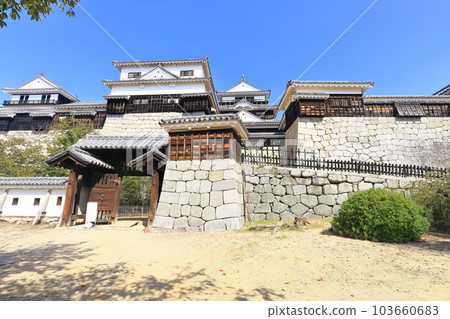 [愛媛縣]松山城（現存天守閣12座） 103660683