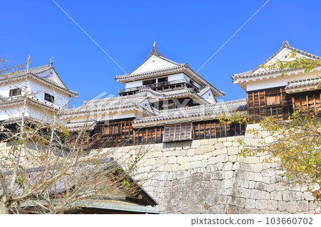 [愛媛縣]松山城（現存天守閣12座） 103660702