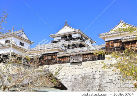 [愛媛縣]松山城（現存天守閣12座） 103660704
