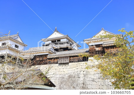 [愛媛縣]松山城（現存天守閣12座） 103660705