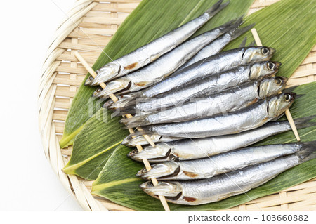 Mezashi 白色背景 103660882