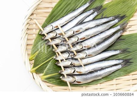 Mezashi 白色背景 103660884