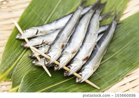 Mezashi 白色背景 103660886