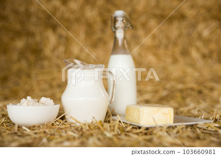 jug of milk, bottle of kefir, cottage cheese, cream and yogurt in bowl, cheese, butter in mow jug of milk, bottle of kefir, cottage cheese, cream and yogurt in bowl, cheese, butter in mow 103660981