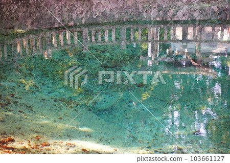 [Yamaguchi Prefecture] Beppu Benten Pond 103661127