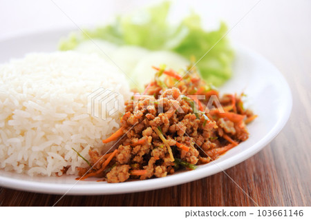 搭配幹咖哩、咖哩飯、海南米飯和美味的生菜 103661146