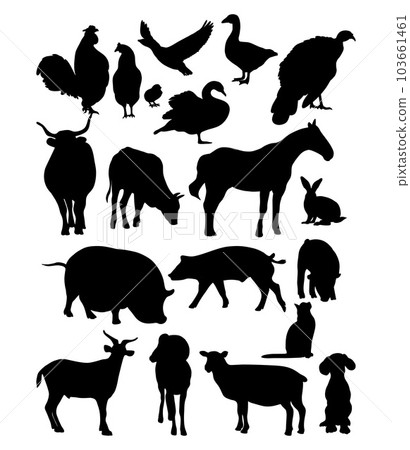 Silhouettes domestic farm animals and birds. Collection vector isolated hand drawings animals on white background for design. 103661461