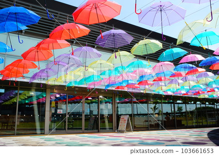 Umbrella sky 103661653
