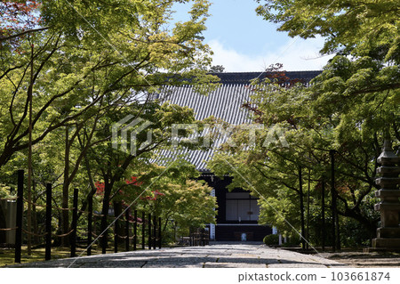 初夏的紅葉與光明寺 初夏的紅葉與光明寺 103661874