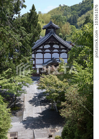 初夏的紅葉與光明寺 初夏的紅葉與光明寺 103661876