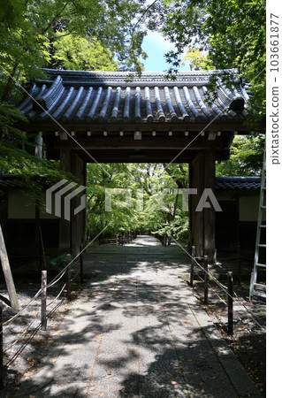 初夏的紅葉與光明寺 初夏的紅葉與光明寺 103661877