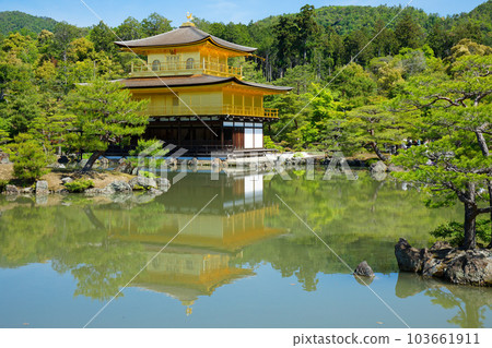 Kinkakuji Young leaves and fresh greenery Kakitsubata 103661911
