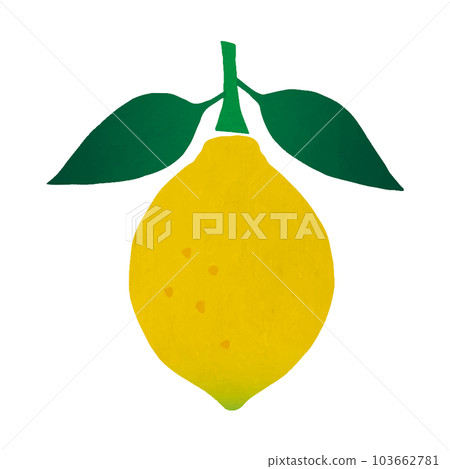 Lemon with leaves_color pencil touch_vector illustration 103662781
