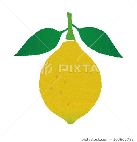 Lemon with leaves_watercolor touch_vector illustration Lemon with leaves_watercolor touch_vector illustration 103662782