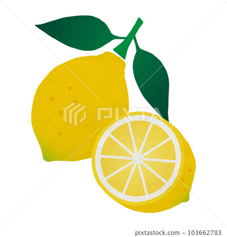 Lemon with leaves and lemon cut in half_Colored pencil touch_Vector illustration Lemon with leaves and lemon cut in half_Colored pencil touch_Vector illustration 103662783
