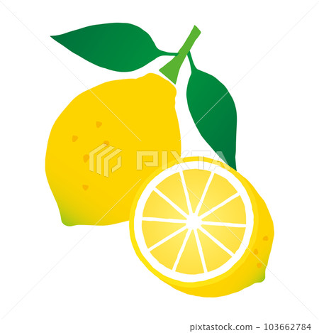 Lemon with leaves and lemon cut in half _ cutout style _ vector illustration Lemon with leaves and lemon cut in half _ cutout style _ vector illustration 103662784