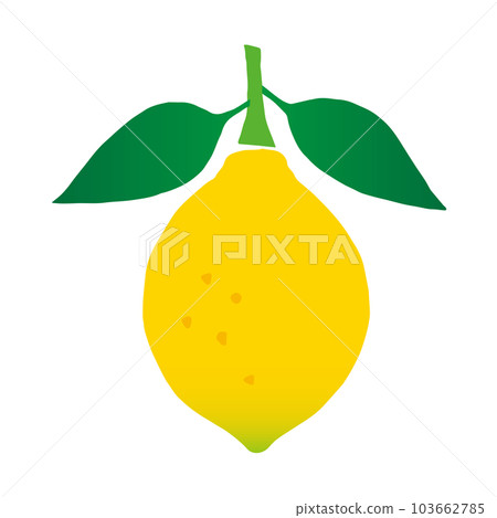 Lemon with leaves _ cutout style _ vector illustration Lemon with leaves _ cutout style _ vector illustration 103662785