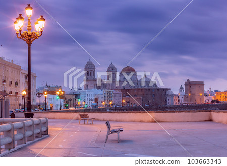 Cathedral of the Holy Cross in Cadiz at dawn. 103663343