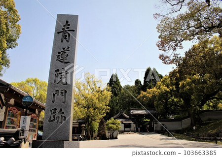 Kotobukiya怪物 103663385