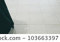 Carry bag/suitcase placed on white tile floor - image of travel/business trip 103663397
