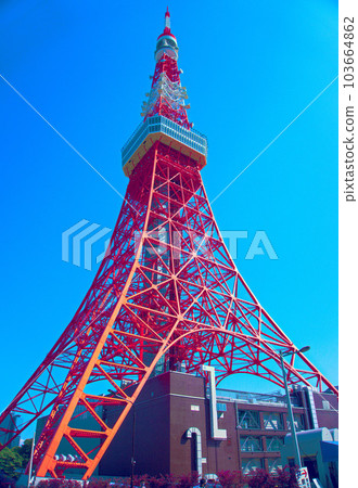 From the foot of Tokyo Tower From the foot of Tokyo Tower 103664862