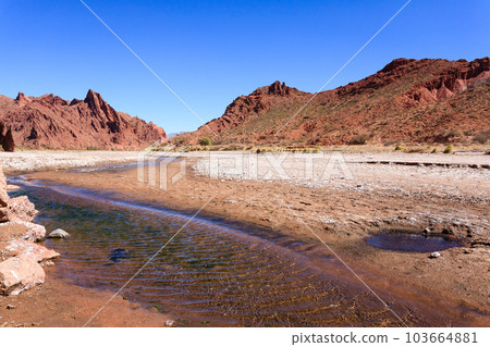 Bolivian canyon near Tupiza,Bolivia 103664881