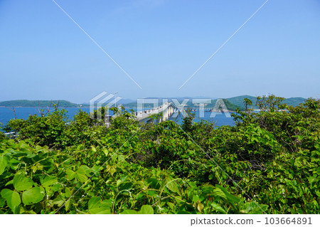 從瀨崎遊公園看到角島大橋 從瀨崎遊公園看到角島大橋 103664891