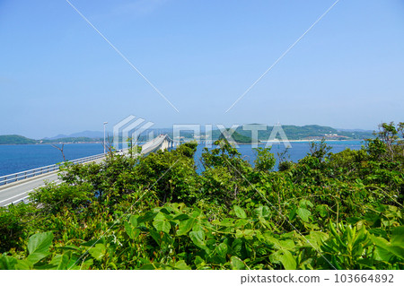Tsunoshima Bridge seen from Sezaki Yo Park 103664892