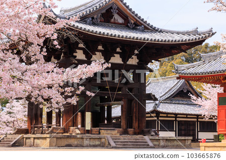 東大寺鐘樓和櫻花 2023 年 3 月 31 日 東大寺鐘樓和櫻花 2023 年 3 月 31 日 103665876