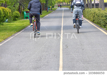 Two cyclists ride along an asphalt path through a green summer park. Two cyclists ride along an asphalt path through a green summer park. 103666050