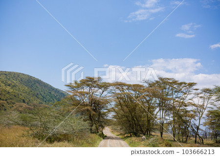 Landscapes In Kenya  103666213