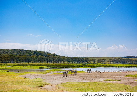Landscapes In Kenya Landscapes In Kenya 103666216