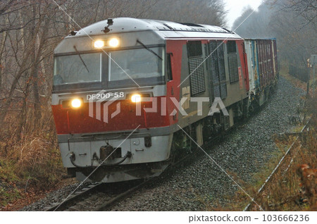 函館本線森 - 姬川 JR Freight DF200-55（Washibetsu） 103666236