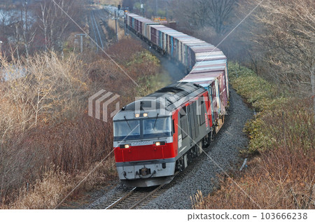 函館本線大沼 - Jinsan JR Freight DF200-51（Washibetsu） 103666238
