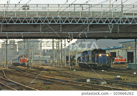 Hakodate Main Line Hakodate JR Hokkaido DD51-1137 (Hakodate) DE10-1561 (Hakodate) Hakodate Main Line Hakodate JR Hokkaido DD51-1137 (Hakodate) DE10-1561 (Hakodate) 103666262