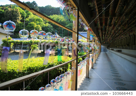 德島縣石井町道岳寺 德島縣石井町道岳寺 103666443